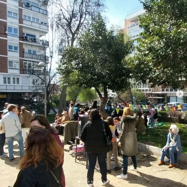 arbol24