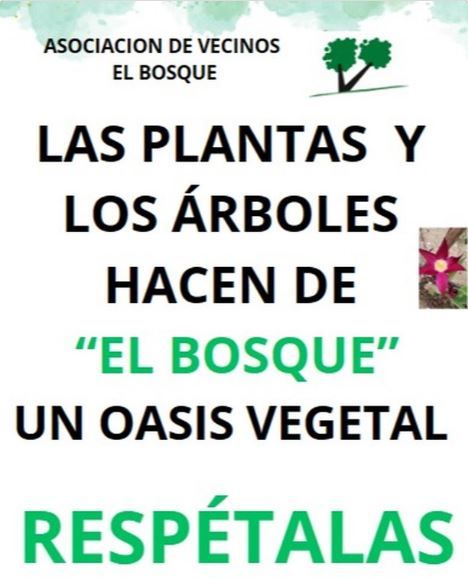 respeto